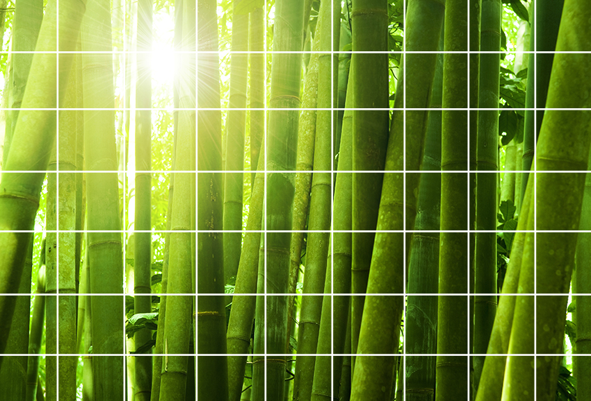 Fliesenbild Bambus